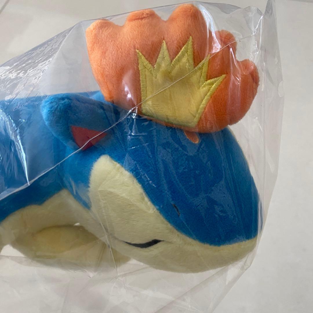 マグマラシ ぬいぐるみ 海外ポケモンセンター限定 未開封タグ付き