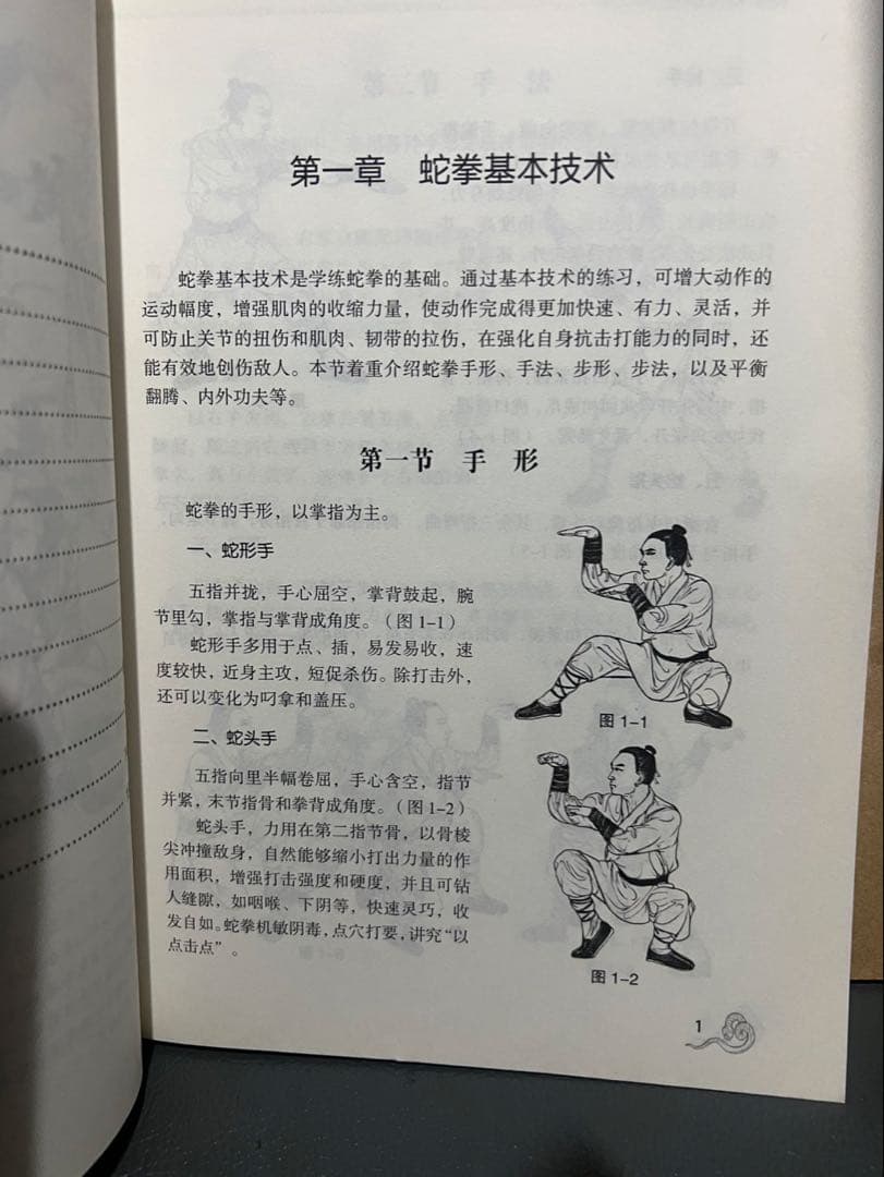 中国武術 カンフー少林寺 蛇拳 教本激レア！
