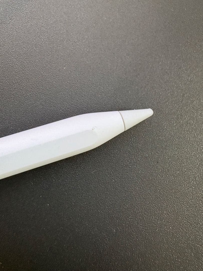 Apple Pencil ホワイト / USB-C / <No.2148>