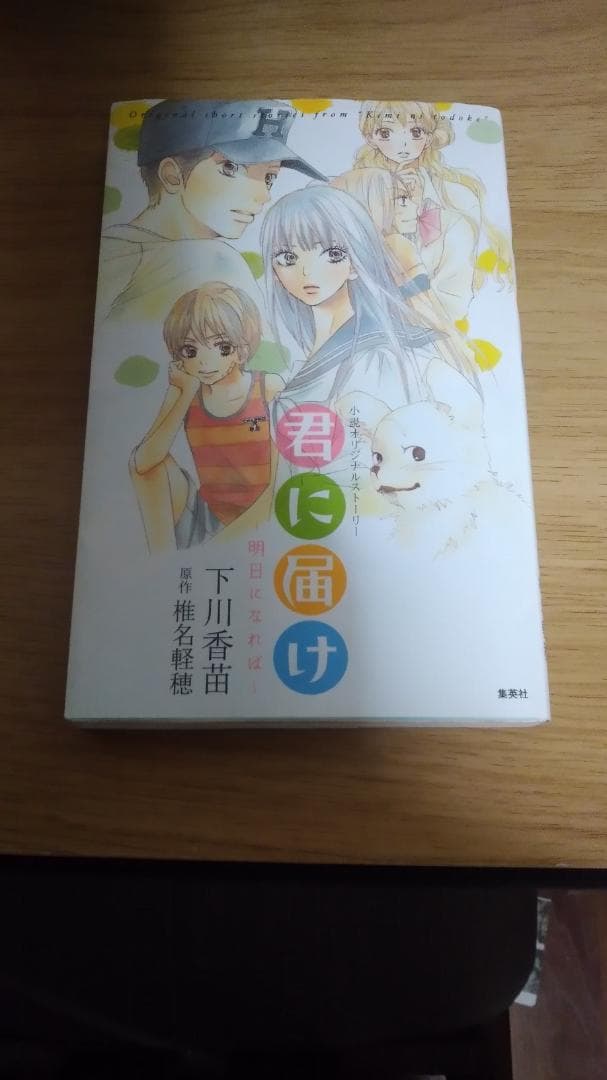 期間限定お値下げ！早い者勝ち！　君に届け　全３０巻　その他４冊　椎名軽穂