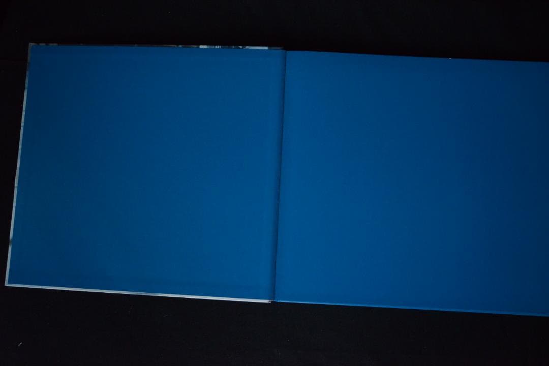 【Martin Kippenberger： Dear Painter ... 】