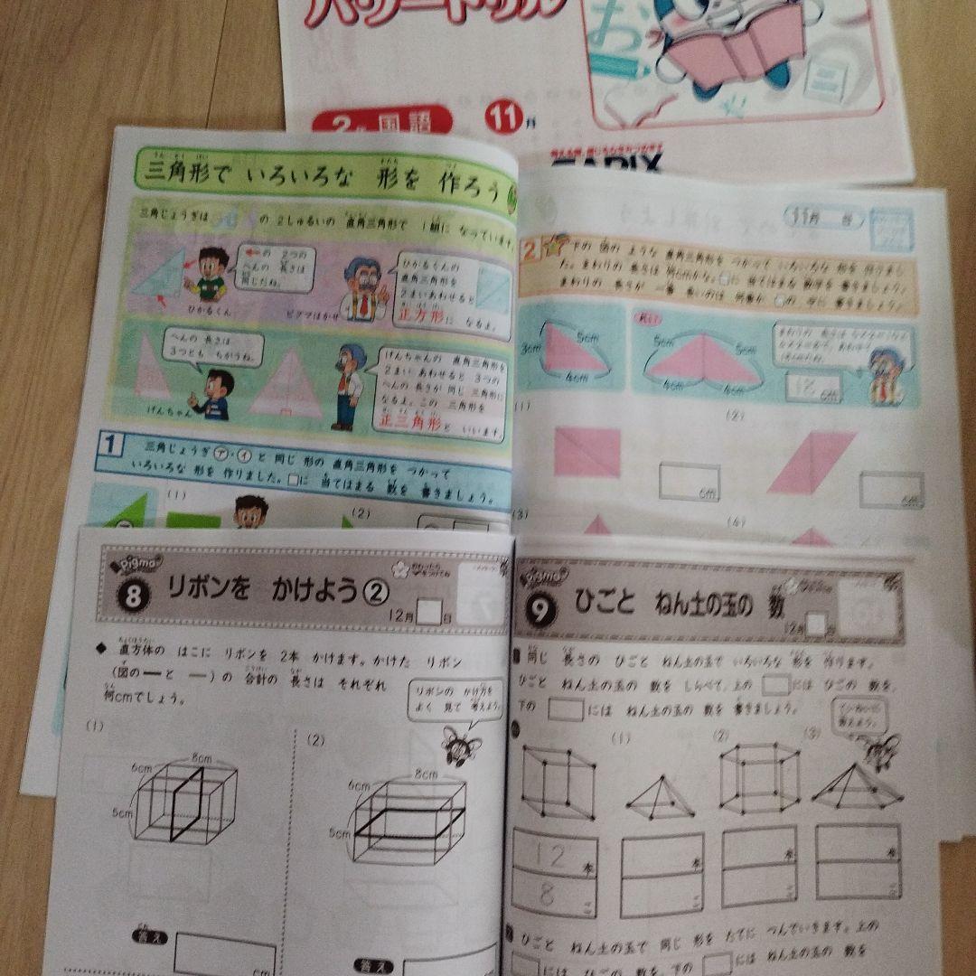 るかさま専用　SAPIX Pigmaシリーズ 2年生　一年分　未使用