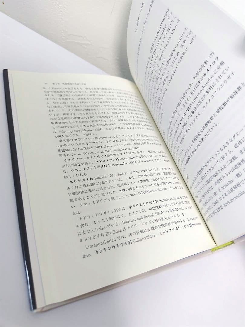 貝類学 佐々木 猛智 図鑑 レア
