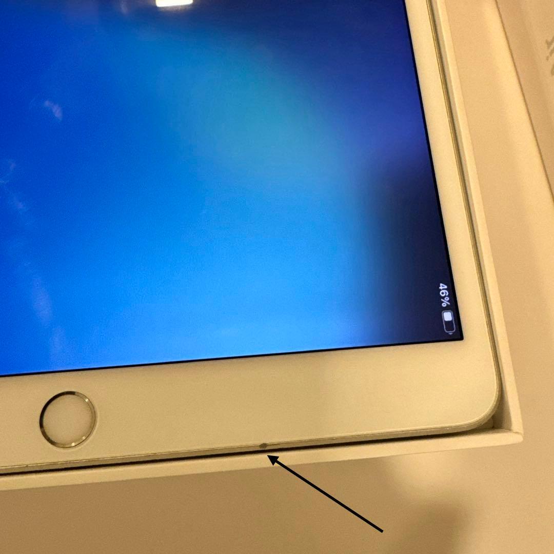 リトルニッキ専用iPad Air 第三世代 256GB