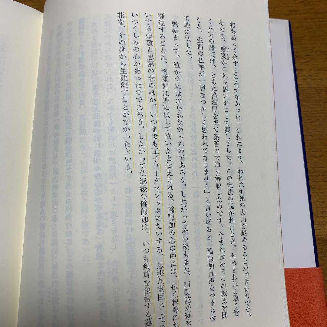 仏弟子物語　中山慧照　第一書房　1992年初版　希少