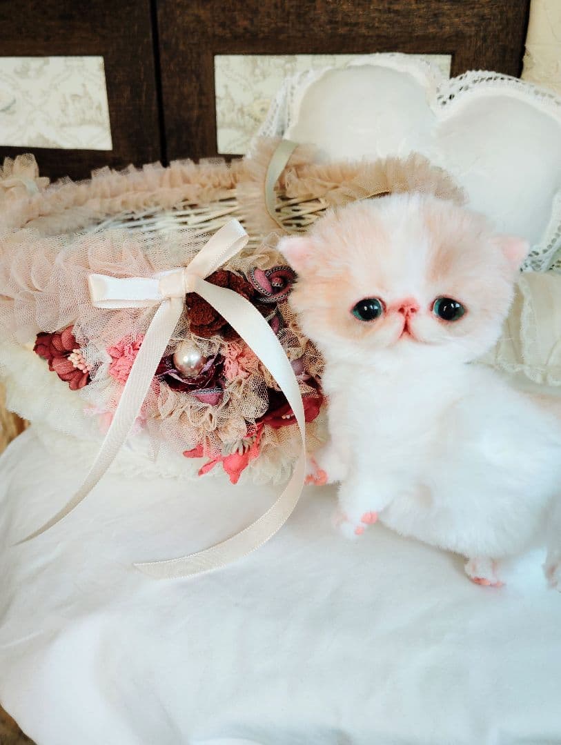 フリフリハンギングバスケットと❤エキゾチック子猫ちゃん❤アートドール♡ぬいぐるみ