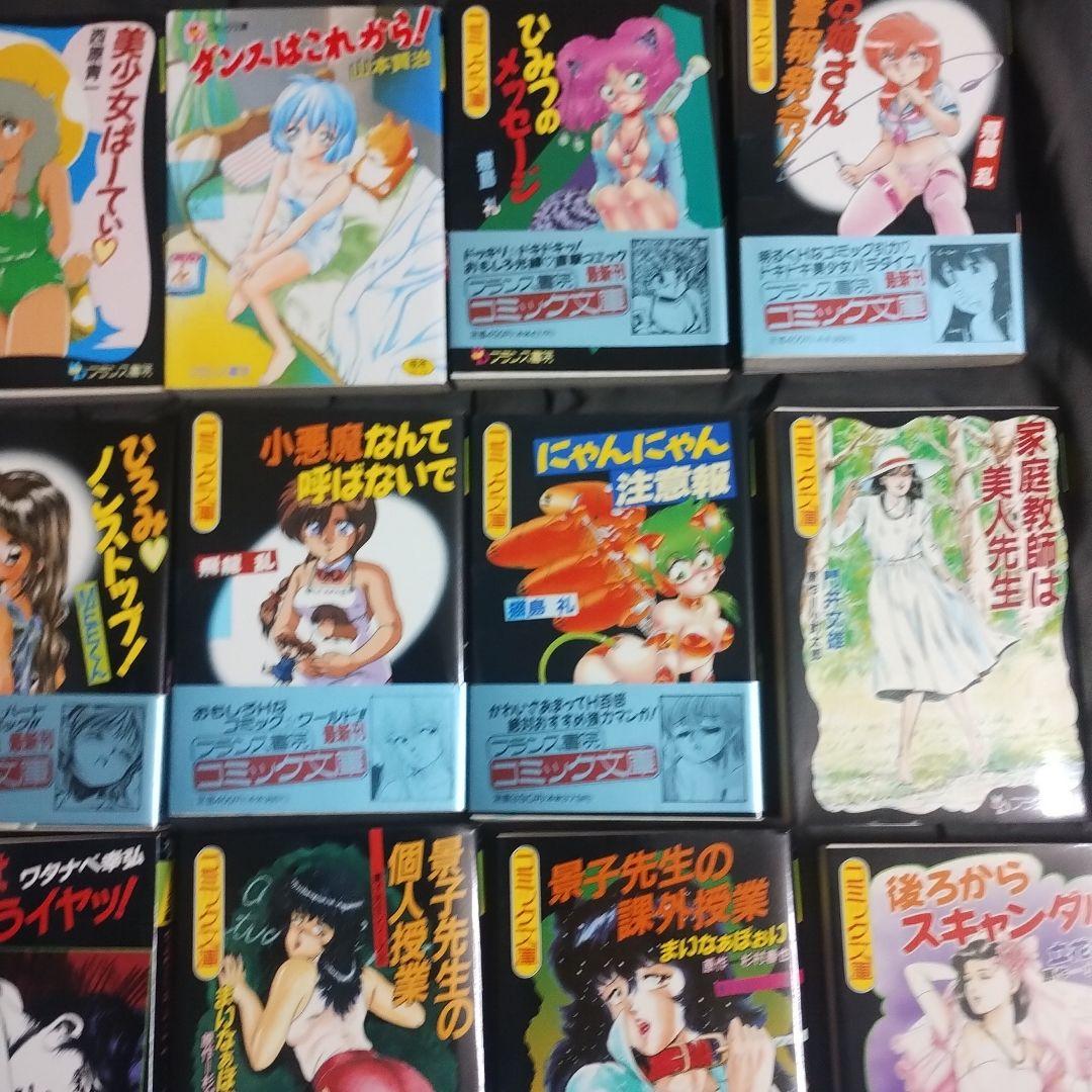 フランス書院コミック文庫まとめて18冊!