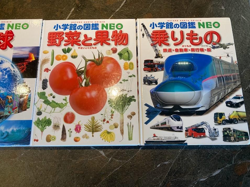 【小学校受験】小学館NEO 知育図鑑と読み聞かせ8冊セット　春休みに最適
