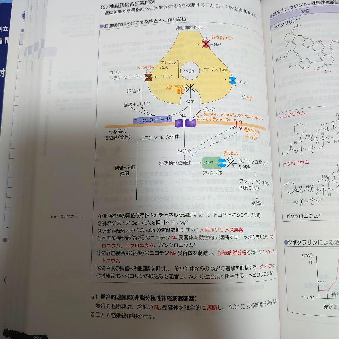 さっくん 薬学ゼミナール 第109回 薬剤師国家試験対策[改訂第13版]