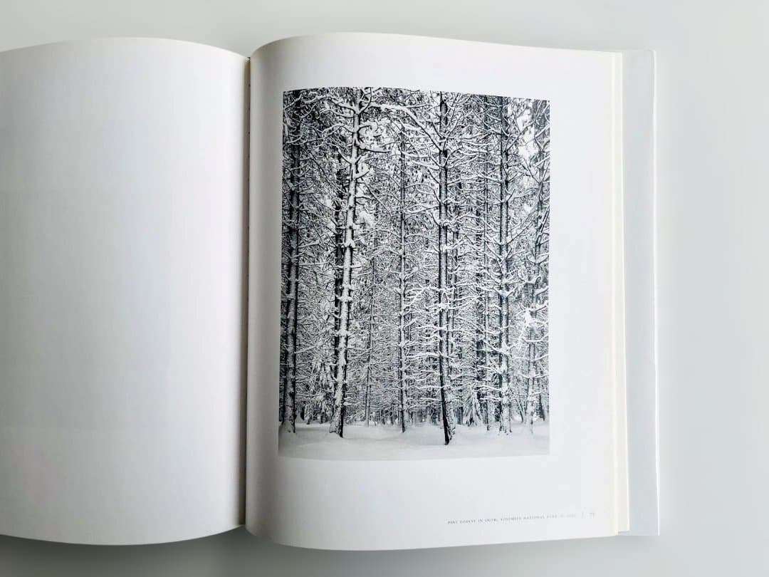 アンセル・アダムス　Ansel Adams　Trees