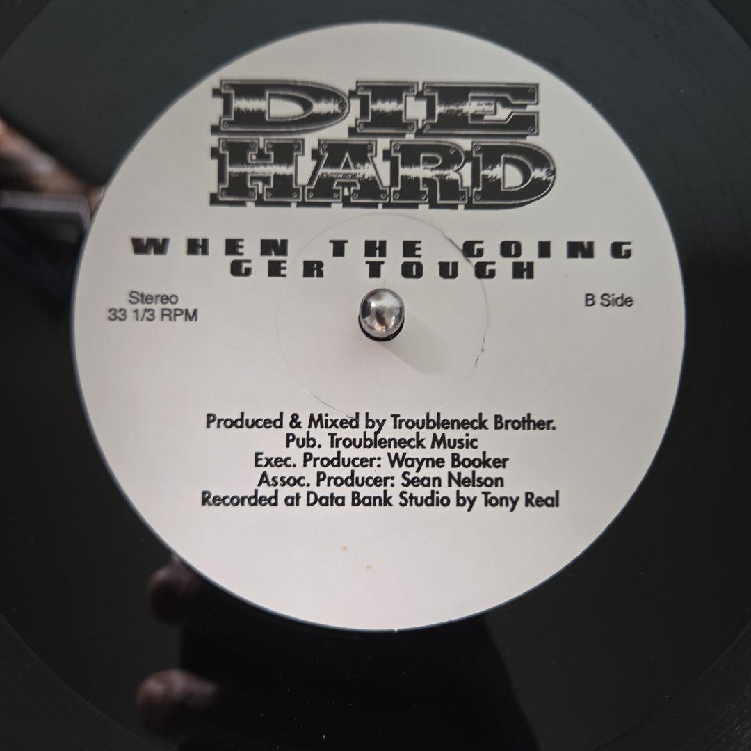 洋楽 DIE HARD BRAIN WASHED 12inch