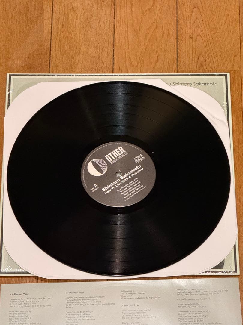 坂本慎太郎– 幻とのつきあい方 LP レコード