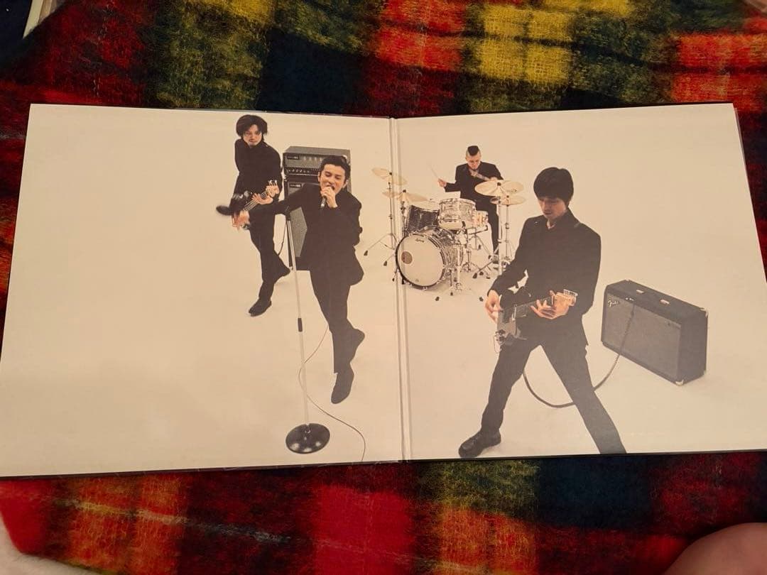 THEE MICHELLE GUN ELEPHANT ✴︎ カサノバスネイク