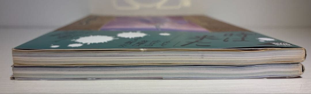 ロードス島戦記 ova 記録集 1巻 2巻