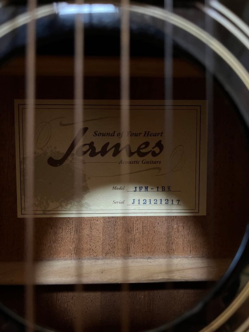 【値下げ】ミニギター　アコースティック　James ブラック　JFM-1BK