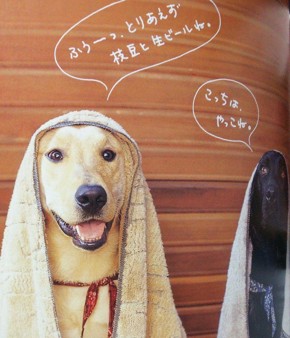旭化成 プラスワン プラスにゃん