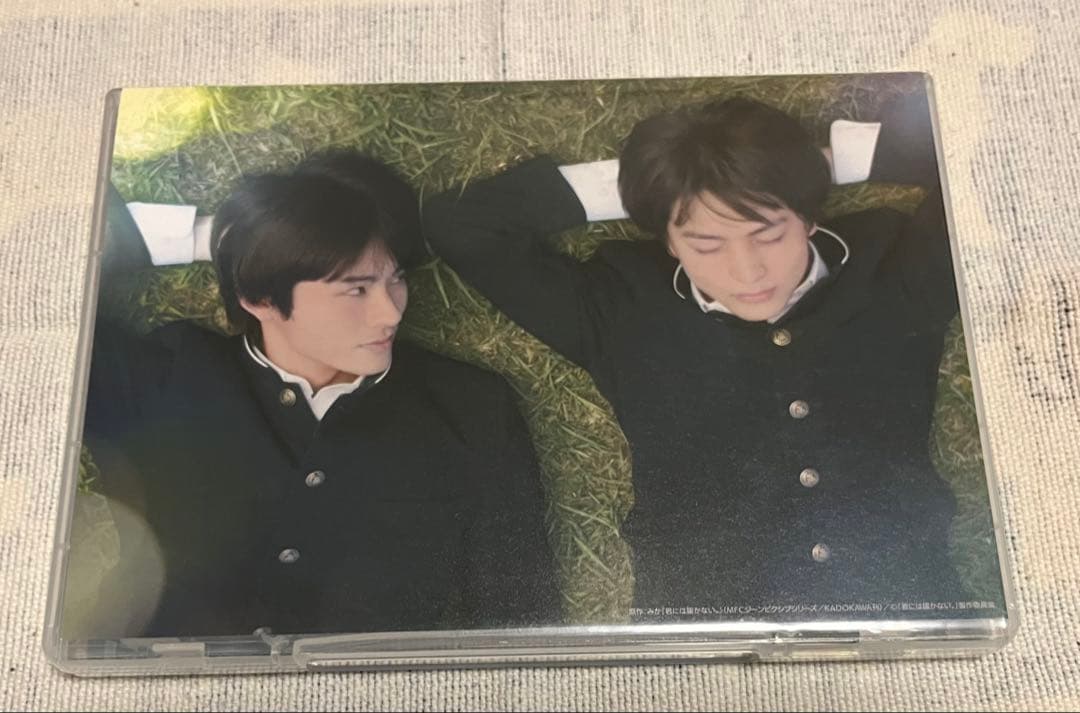 BLドラマ 君には届かない。DVD-BOX アクリルフィギュア&フォンタブ付き