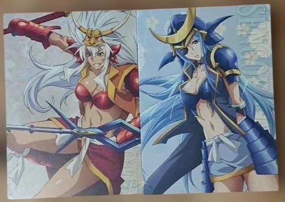 入手困難‼️【廃盤・美品】戦国乙女～桃色パラドックス～DVD 全7巻セット