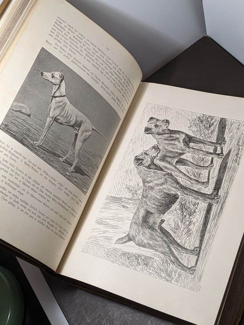 アンティーク 本　ドイツの犬の品種 珍しい本　ドイツ語　レア 洋書
