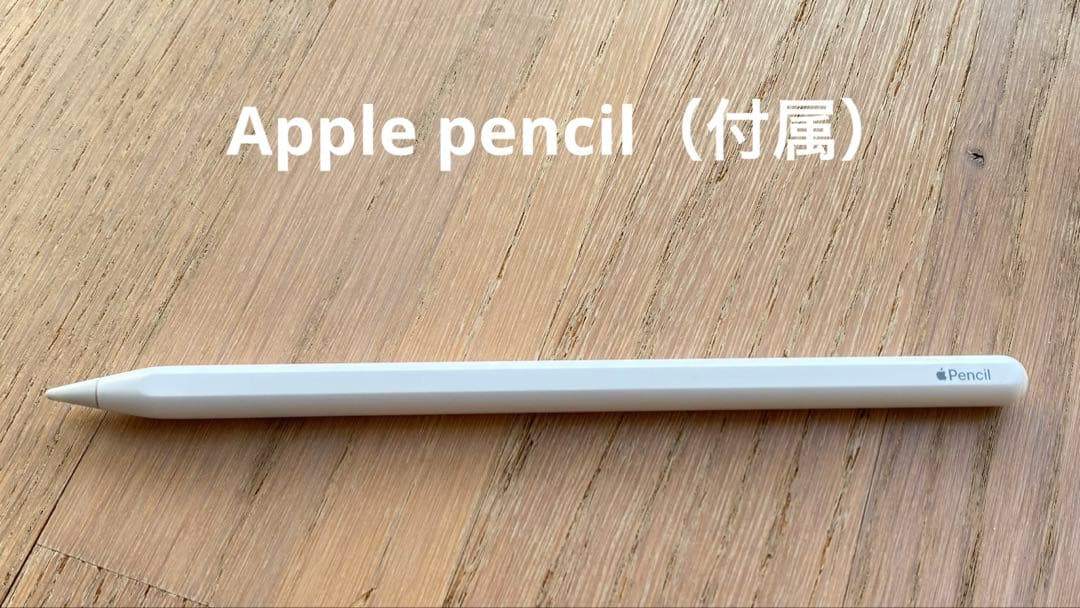 iPadAir 5シルバー /Apple Pencil・ペーパーライクフィルム付