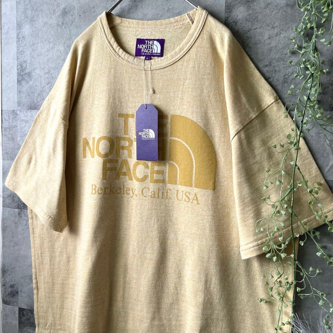 THENORTHFACEナナミカロゴT サイズL Mix Yellow
