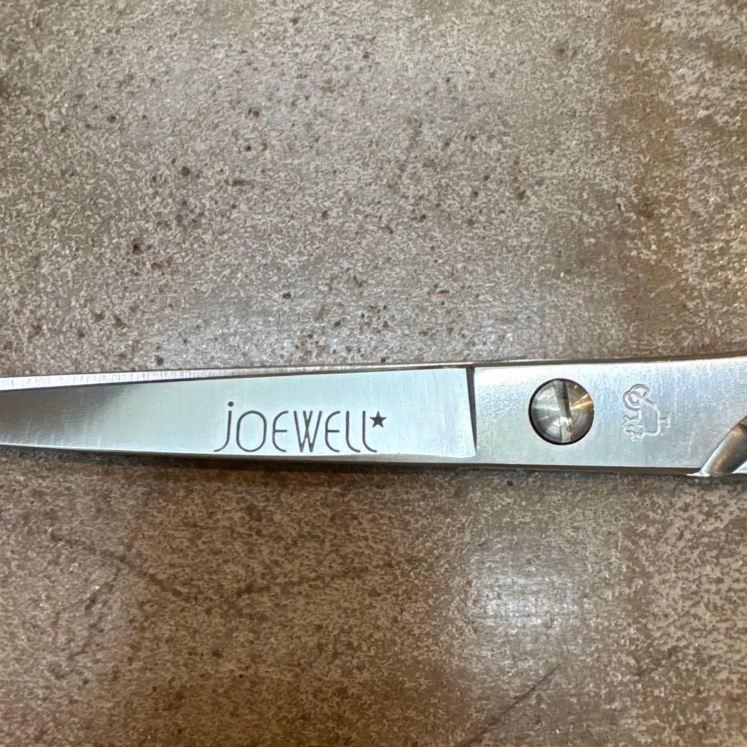 JOEWELL ステンレス シザー