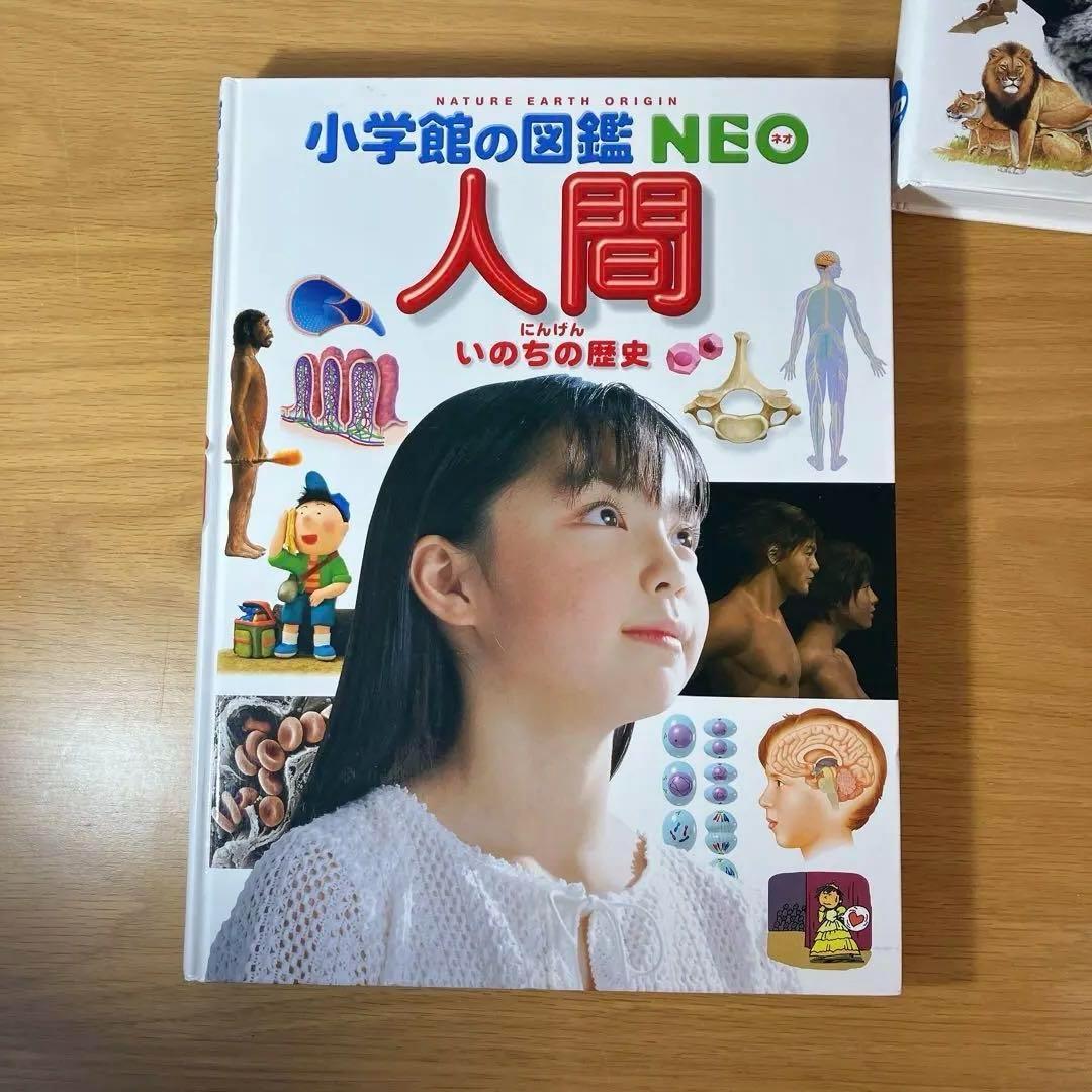 小学館の図鑑　NEO NEO➕9冊　と図鑑3冊　合計12冊セット