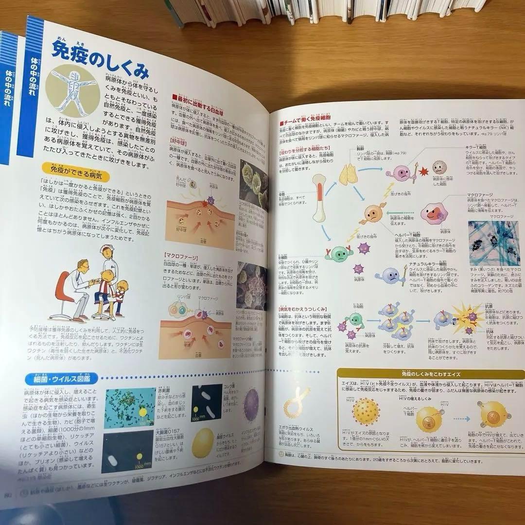 小学館の図鑑　NEO NEO➕9冊　と図鑑3冊　合計12冊セット