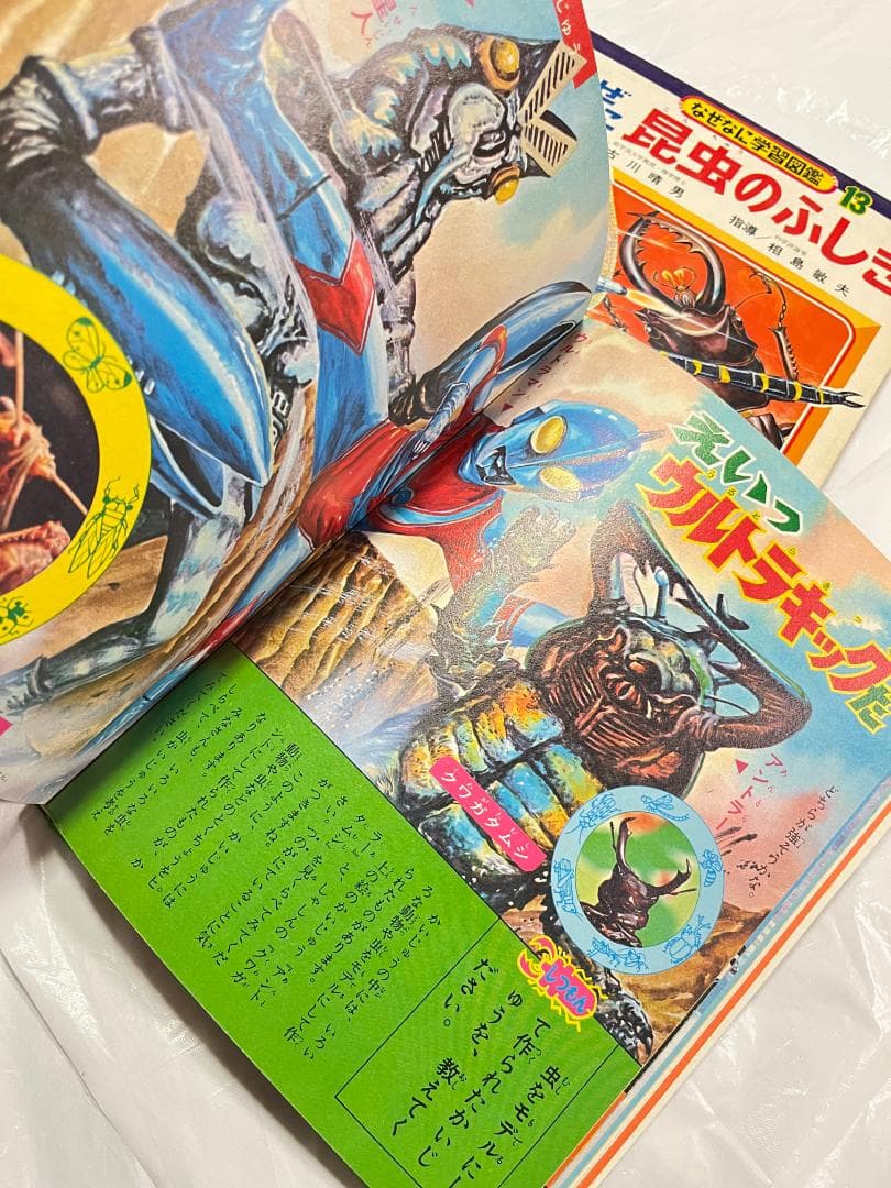 帯付き 小学館 なぜなに学習図鑑 13 昆虫のふしぎ