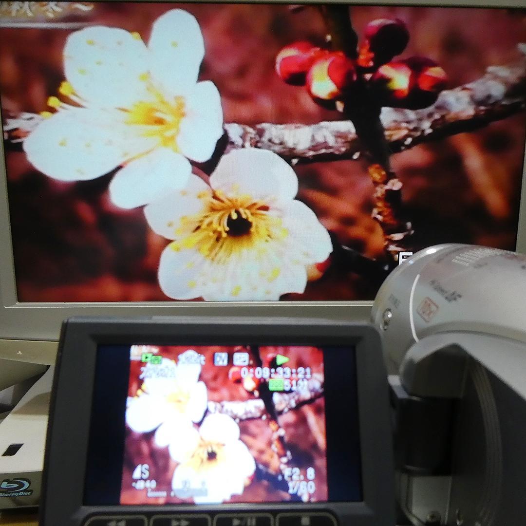キャノンiVIS HV20【動作良好】MiniDV/HDVビデオ ダビングに最適