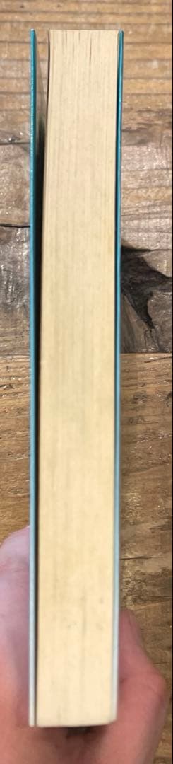 希少本(used)エドガー・ケイシー物語 川がある 上巻 著: トマス・サグルー