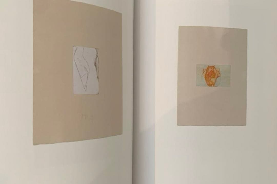 JOSEPH BEUYS / DIE MULTIPLES ヨーゼフ・ボイス
