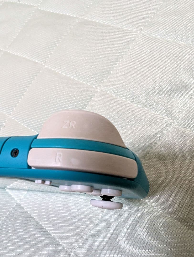 Nintendo Switch Lite ターコイズ アダプター付き