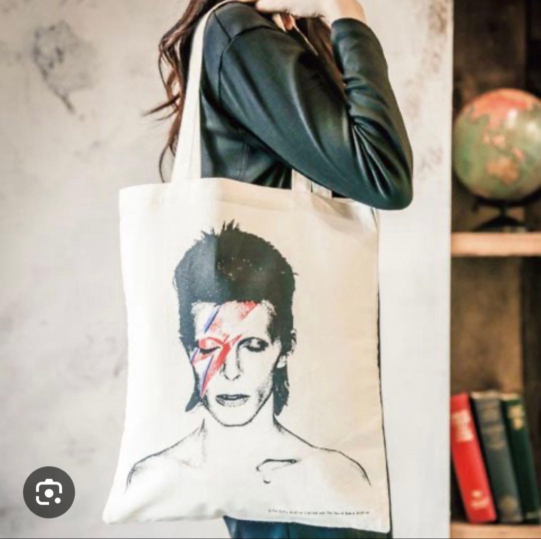 david bowie デヴィッドボウイ レコード ヒステリックグラマー セット