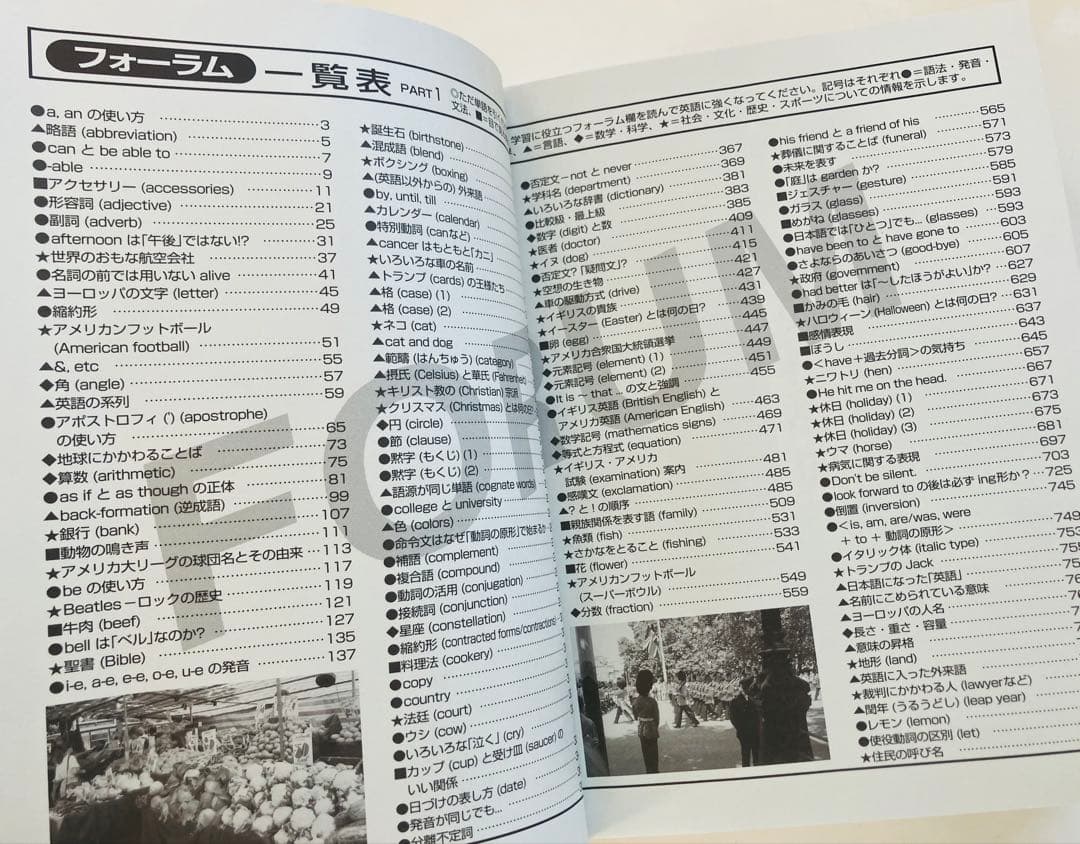 大きな活字のヴィスタ英和辞典