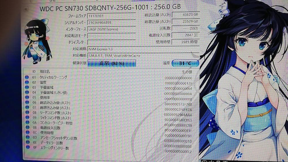 Western Digital SN730 256GB SSD 3枚組