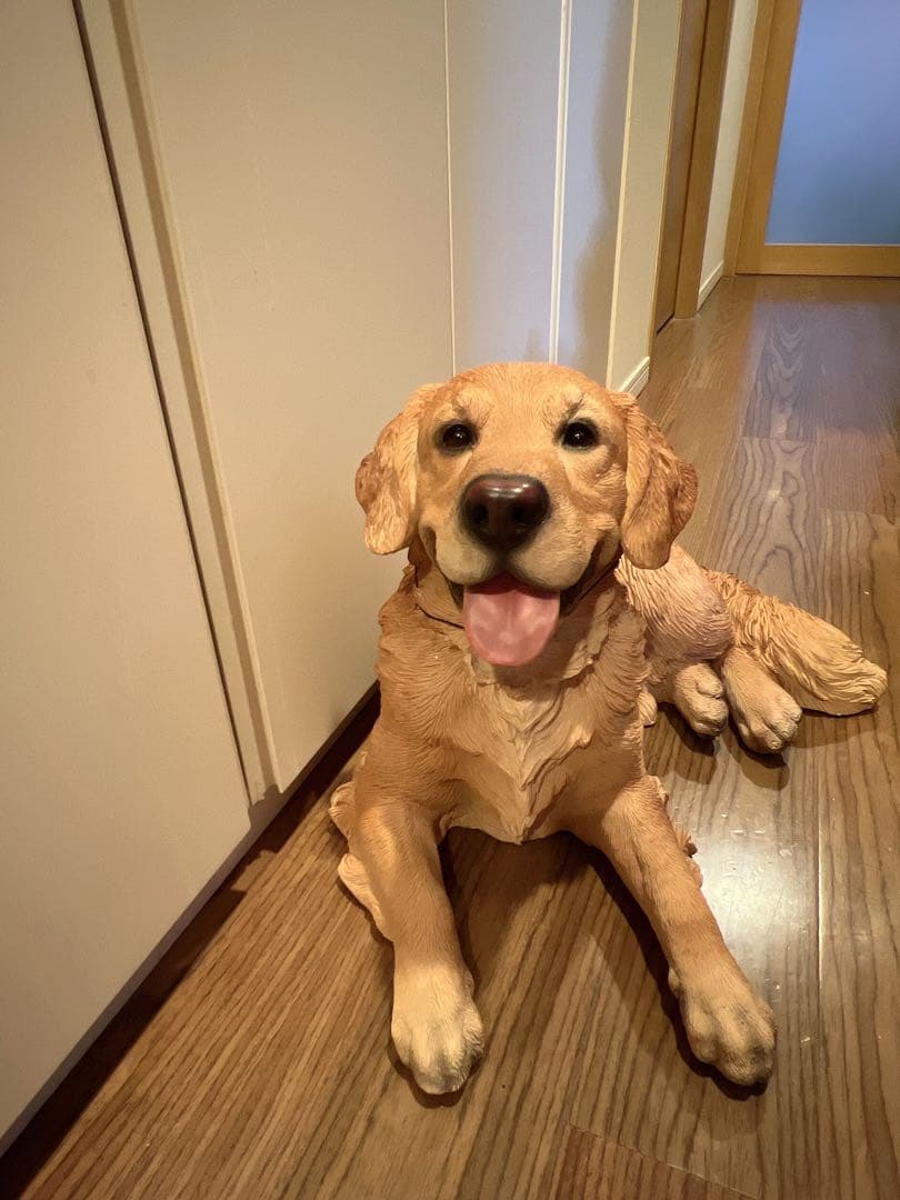 ゴールデンレトリバー犬 オブジェ置物玄関インテリアオーナメント実物大本物そっくり