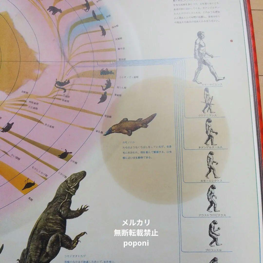 世界一大きい絵本　人類は何を見てきたか　講談社　万博