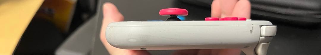 Nintendo Switch Lite ザシアン・ザマゼンタ本体、他