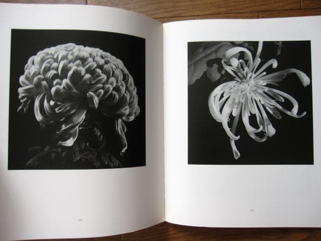 HANA　石元泰博　Yasuhiro Ishimoto