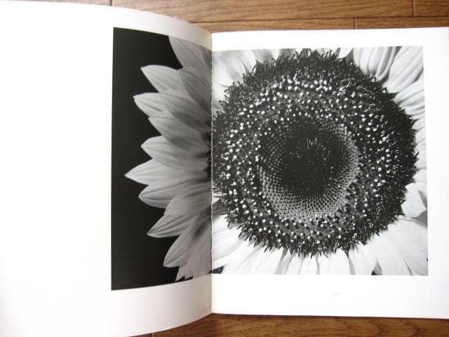 HANA　石元泰博　Yasuhiro Ishimoto