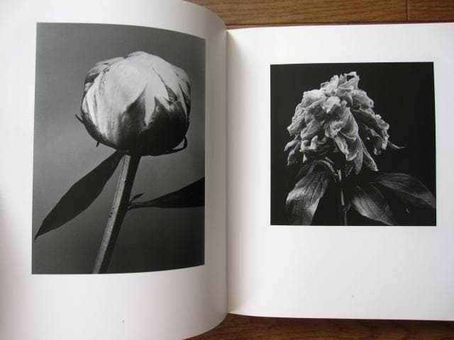 HANA　石元泰博　Yasuhiro Ishimoto