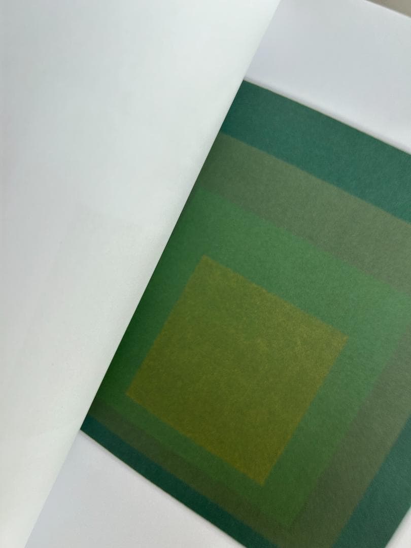絶版希少本 Josef Albers ジョセフ アルバース 作品集 安藤忠雄