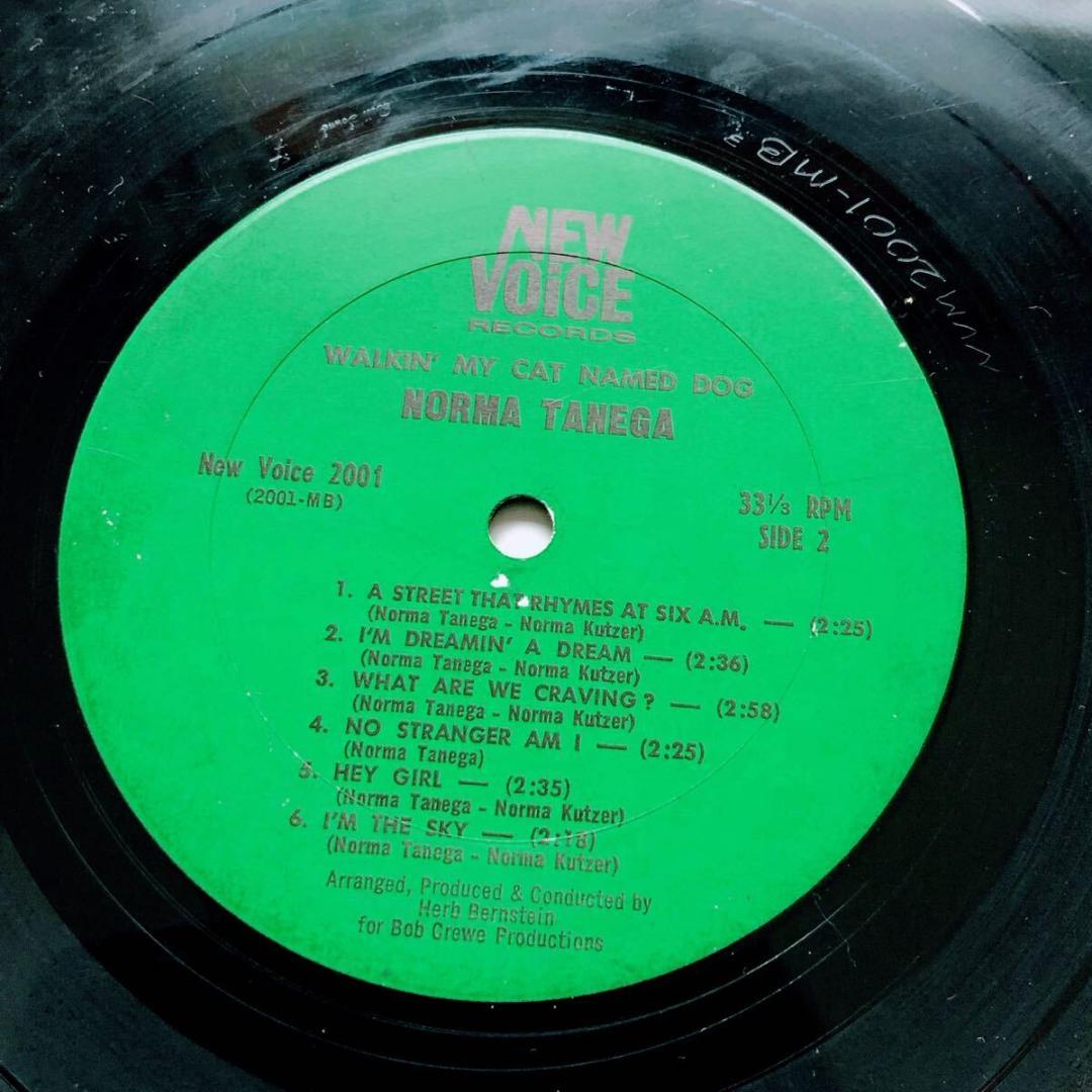 #XX01【名盤】WALKIN' MY CAT NAMED DOG ノーマタネガ