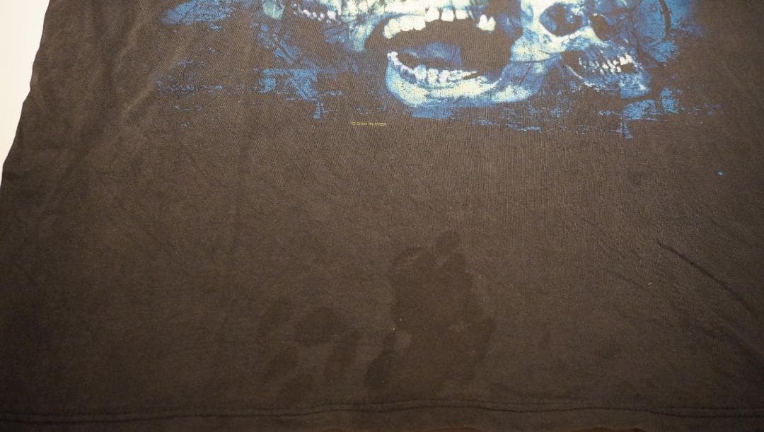 SLAYER Blue Skull ヴィンテージTシャツ スレイヤー 2000