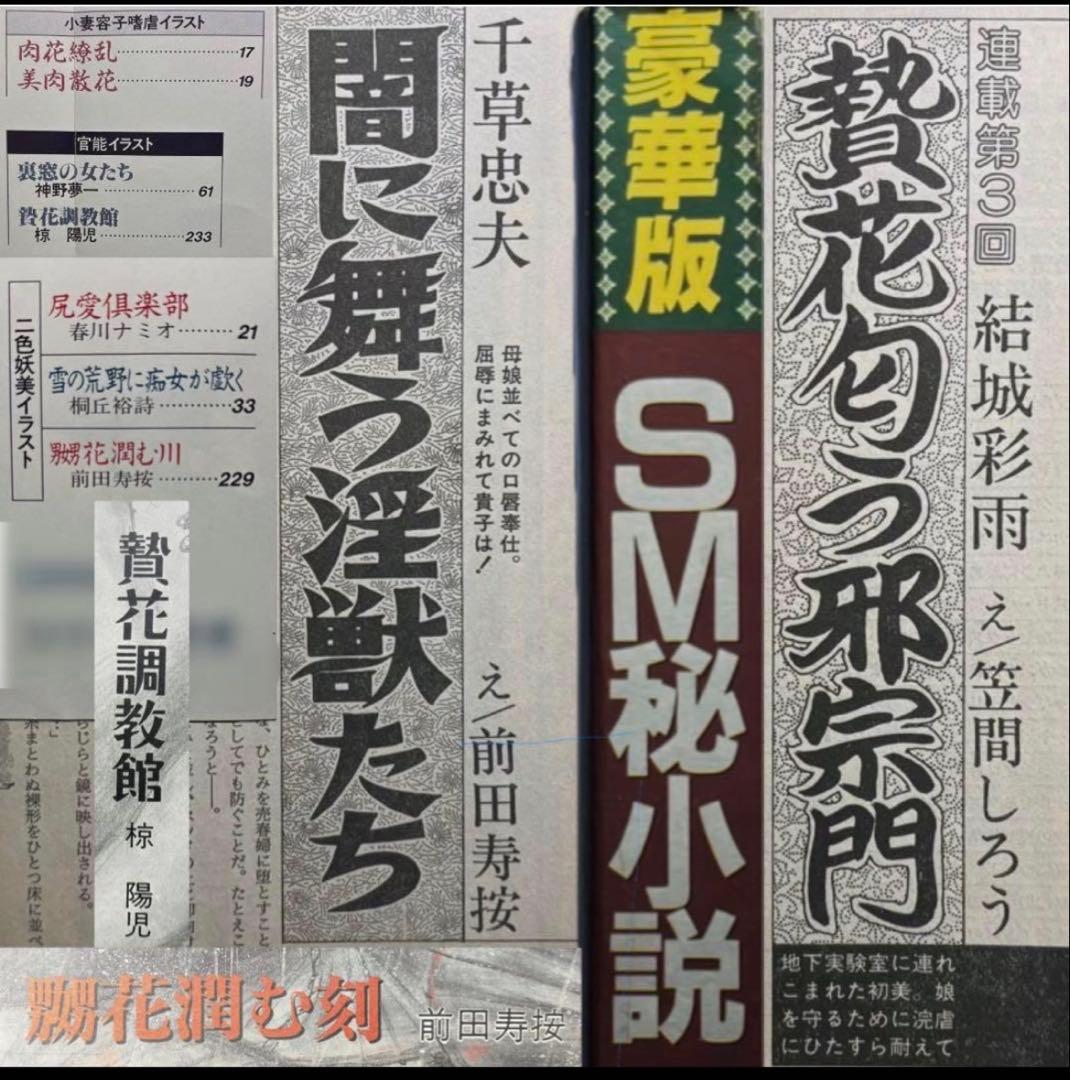 絶版】秘小説94年5月 千草忠夫 結城彩雨 　　　前田寿按 楡畑雄二 椋陽児 他