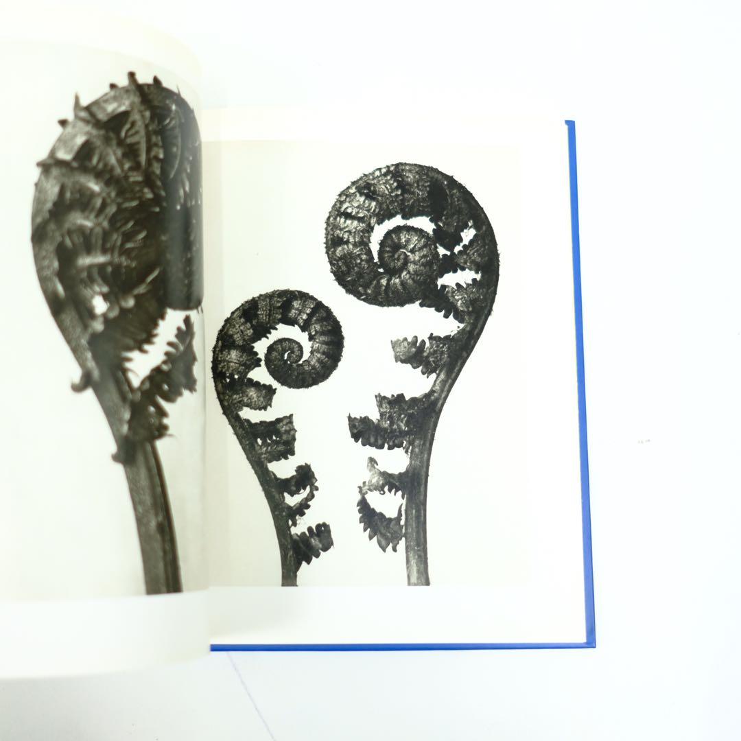 Karl Blossfeldt Taschen カール・ブロスフェルド　写真集