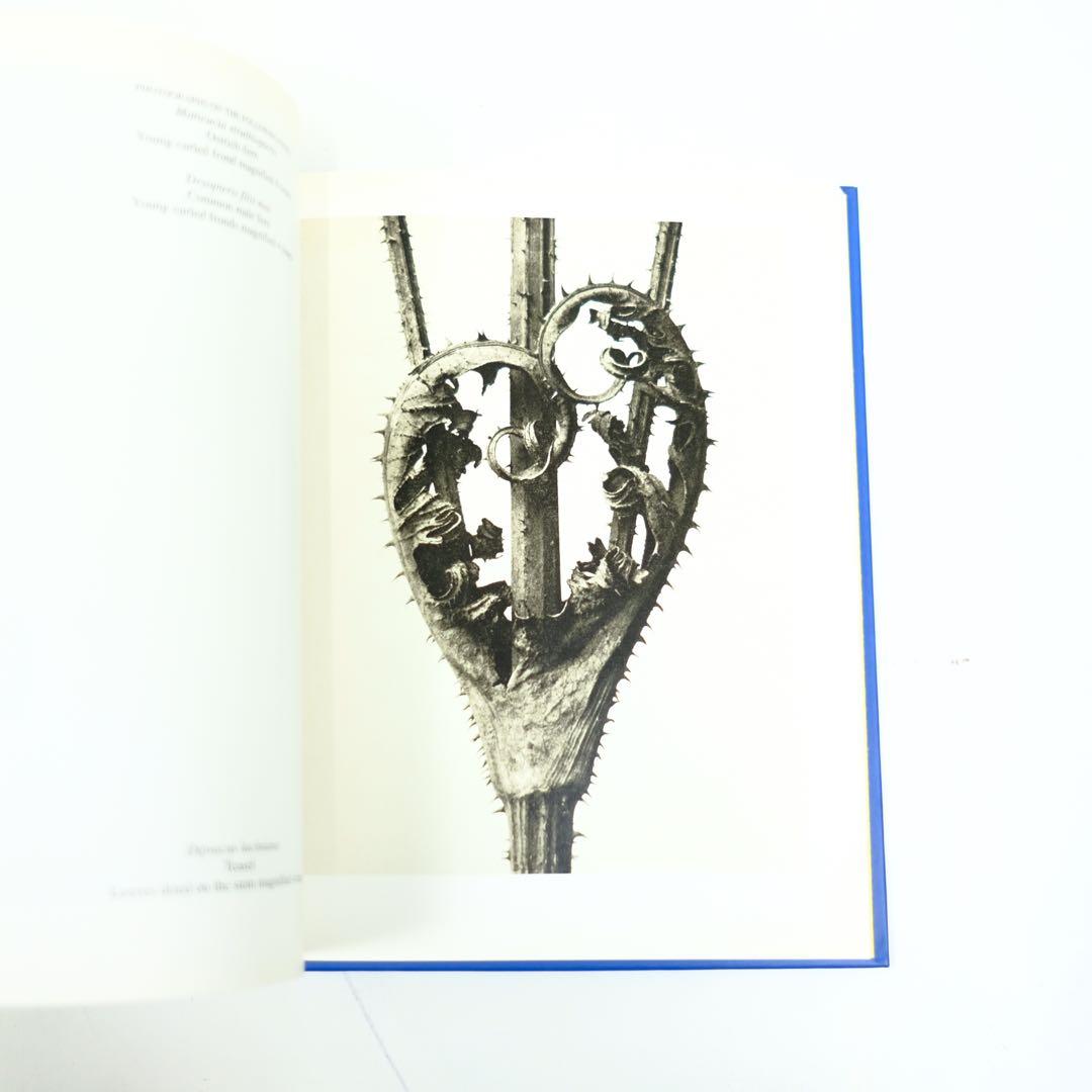 Karl Blossfeldt Taschen カール・ブロスフェルド　写真集