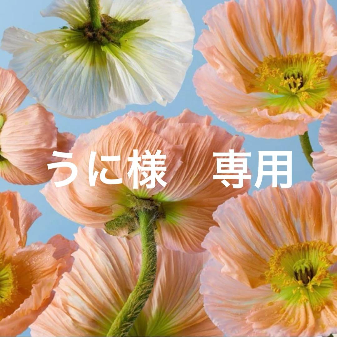うに　ブルー23