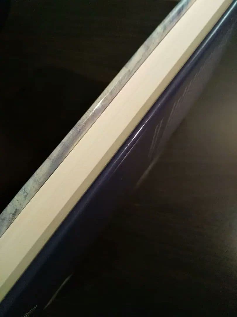 〈洋書〉理性の根源：合理性、進化、確率に関する哲学的エッセイ／D・パピノー